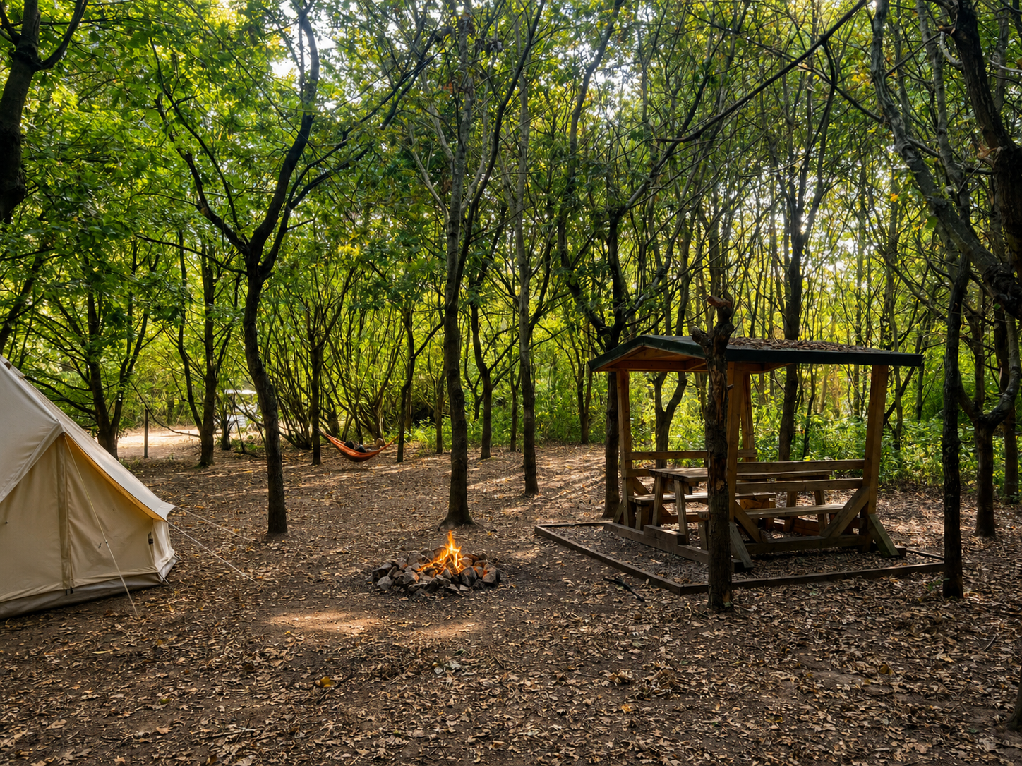 Family Woodland Camp Pitch amongst the trees - view 1