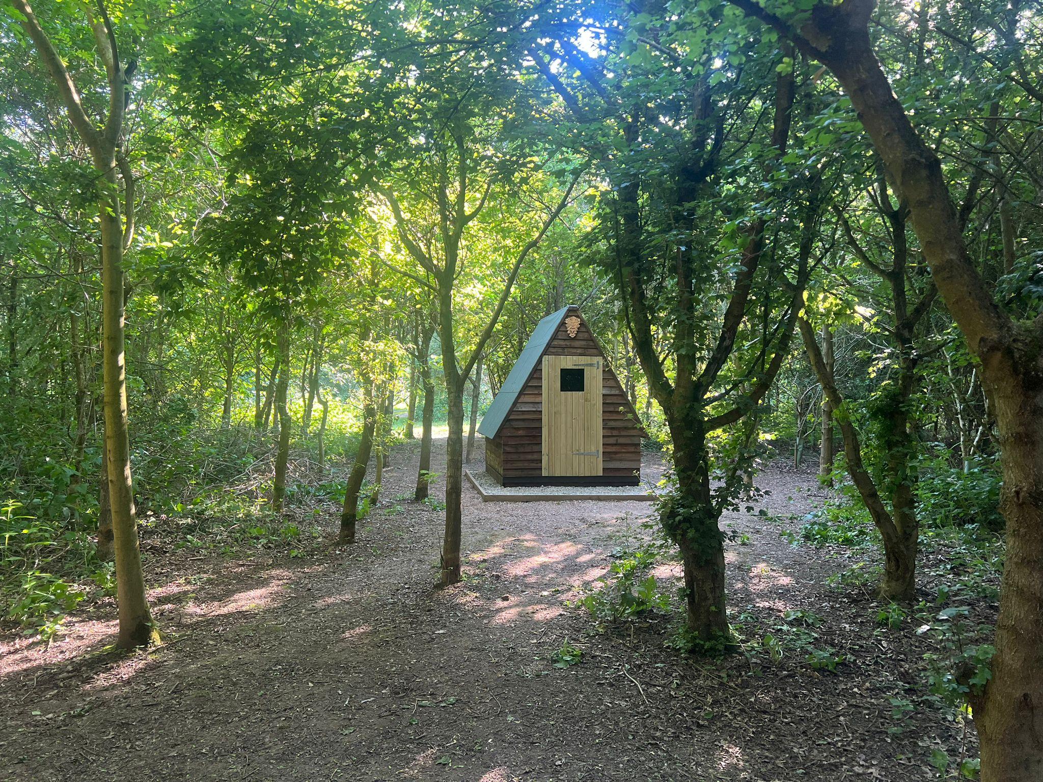 Woodland Bolthole amongst the trees - view 2