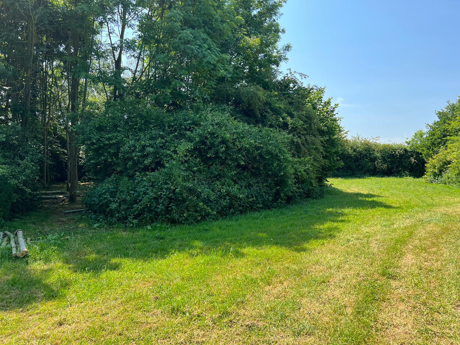 Group Teaching Area in the woodland