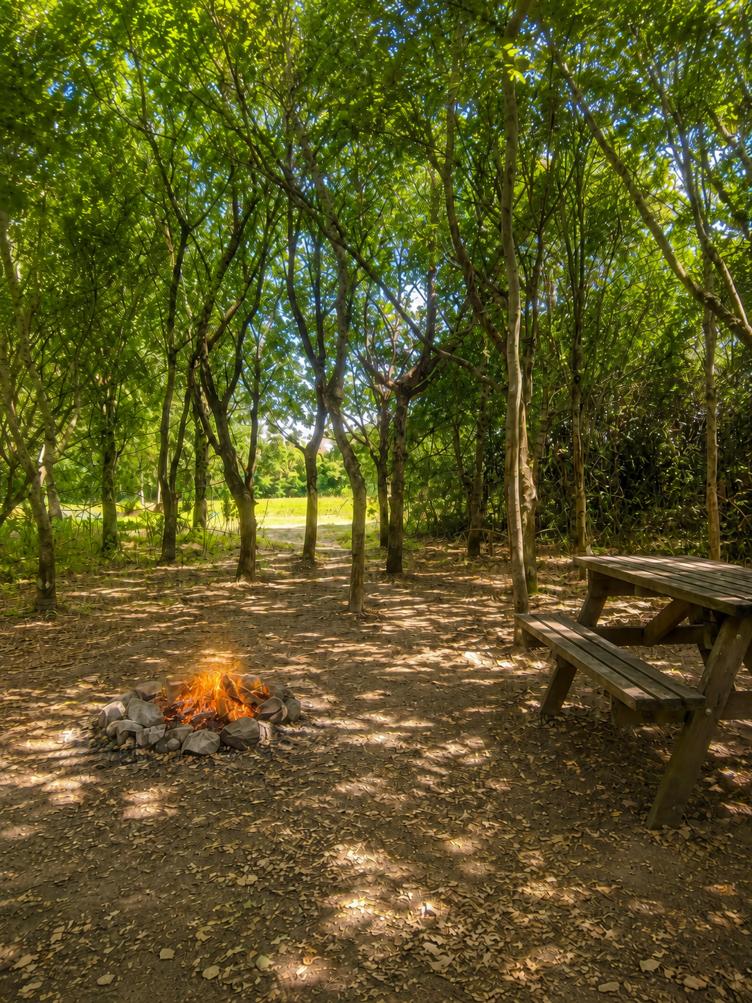 The Outpost looking towards its open grass area