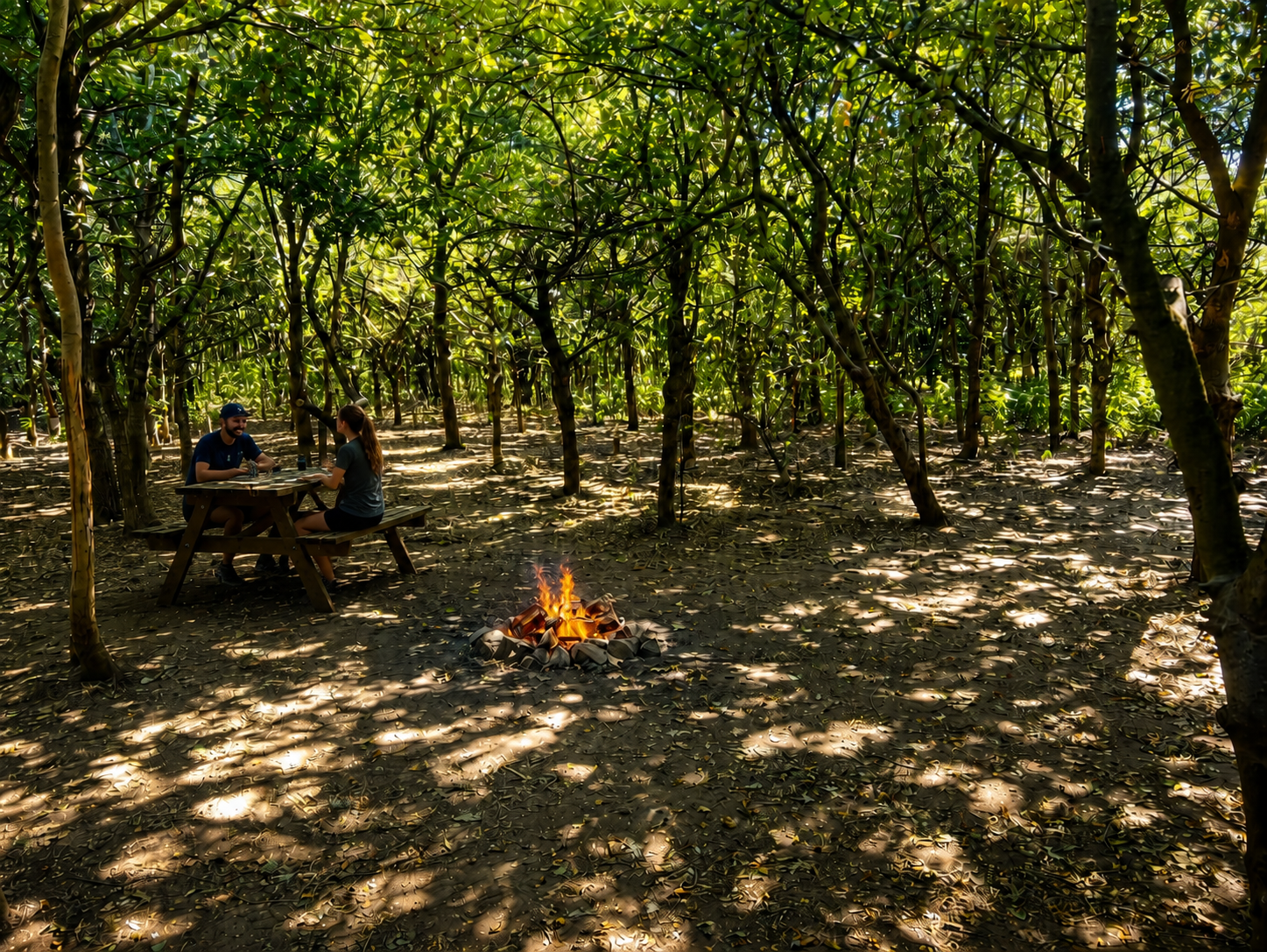 The Outpost secluded clearing - view 4