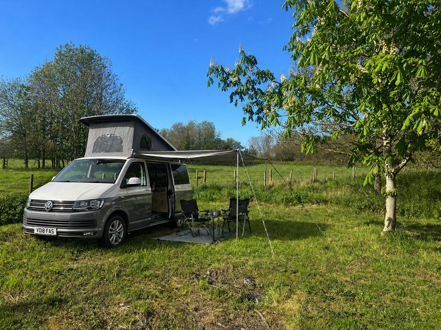 The open meadow beside Field View campervan pitch