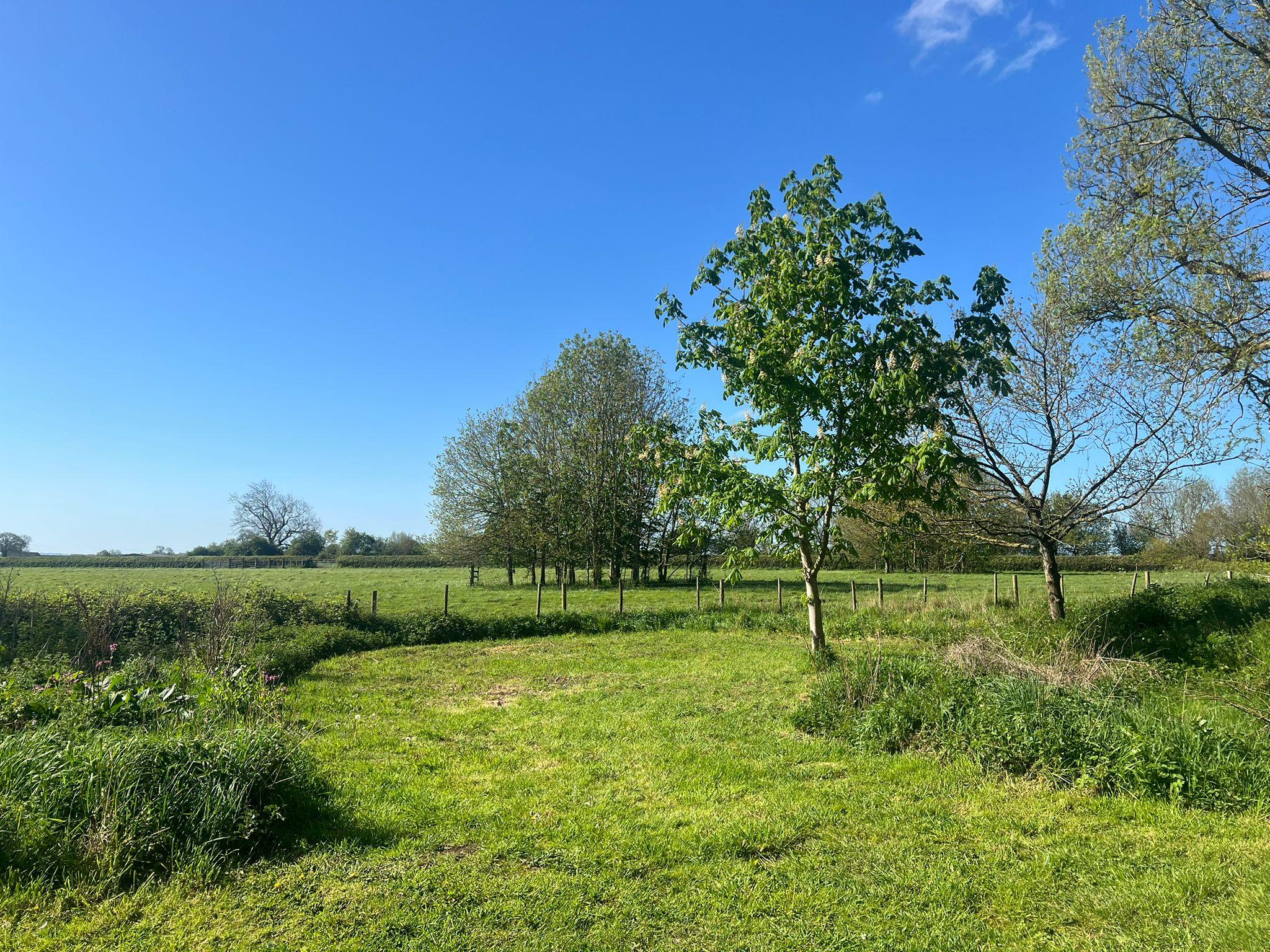 Field View campervan pitch beside the open meadow