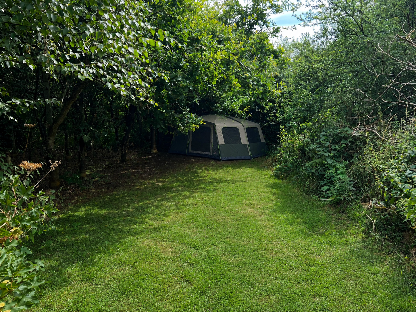 The Nook secluded woodland pitch